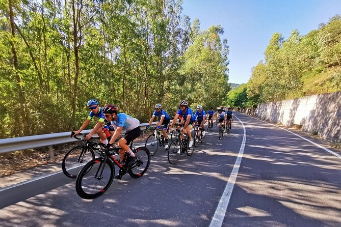 Etna Bike Tour - Cycling in Sicily - Who should book this Etna bike ride (and who should think twice)