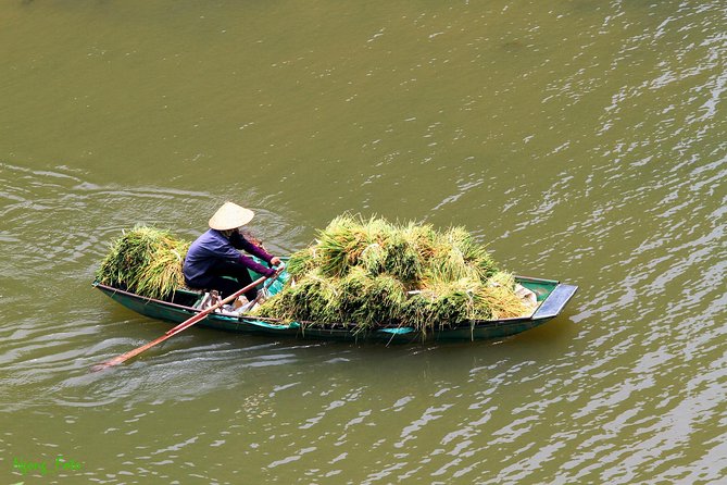 From Hanoi: Hoa Lu - Tam Coc boating - Cycling & Mua Cave visit - Buffet Lunch: Good Enough Fuel for a Big Day