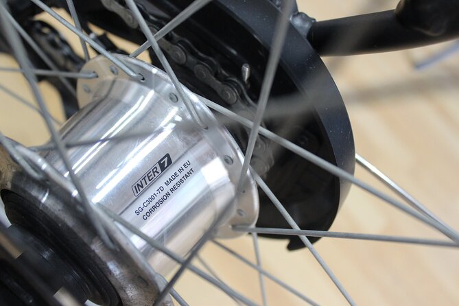 Full Day Bike Rental in Malaga - Timing and Weather: Plan for the Day, Not Just the Date