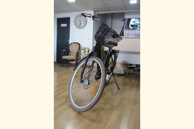Full Day Bike Rental in Malaga - Full Day Rental in Central Malaga: Make It Your Day