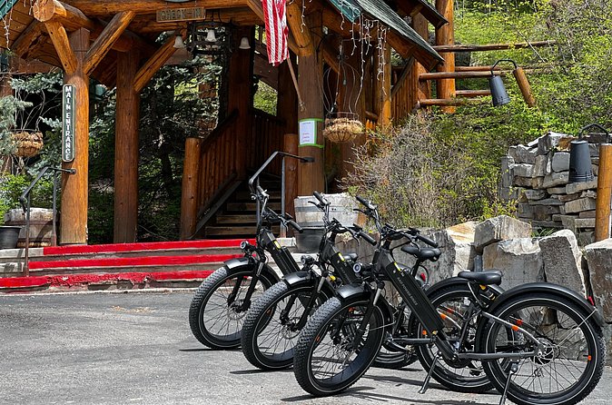 Full-Day E-Bike Rental in Flathead Valley - Picking the right Rad model for your comfort level