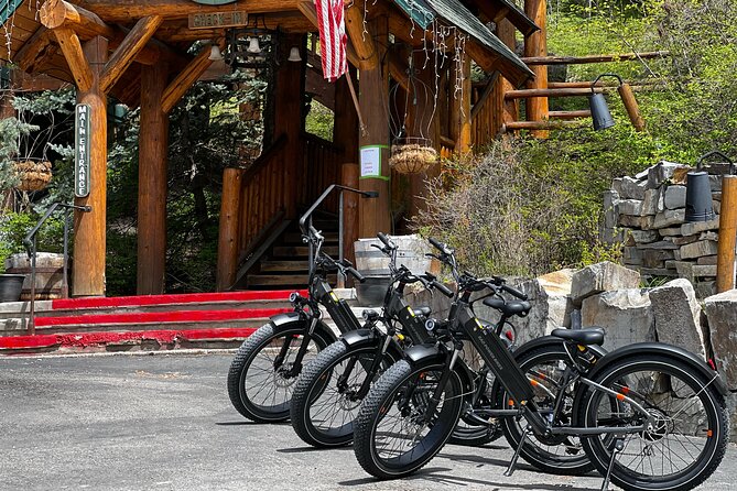 Full-Day E-Bike Rental in Flathead Valley - Quick decision guide: should you book this e-bike rental?