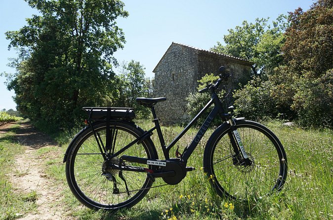Full day E-Bike rental in the Alpilles - Stops That Fit the Alpilles Big Rocks: Carrières des Lumières and Les Baux