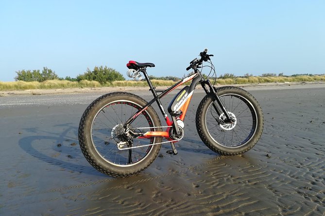 Full Day Venice E-Bike Rental - Key highlights that make this ride worth it