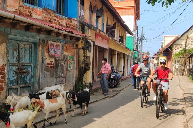 Good Morning Kochi Bicycle Tour - How the guided biking route keeps the pace humane
