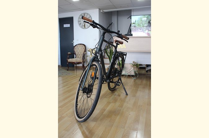 Gravel Bike rental in Malaga - Riding Malaga on Gravel: How to Use the Bike Lanes Like a Pro