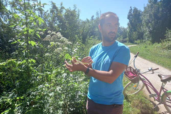 Green Venice Cycling Getaway - Poitevin Marshes ride: ecosystems, heritage, and guided stories