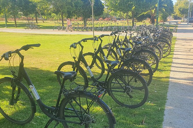 Guided Electric Bicycle Tour of Seville - Electric bikes make Seville easier on your legs