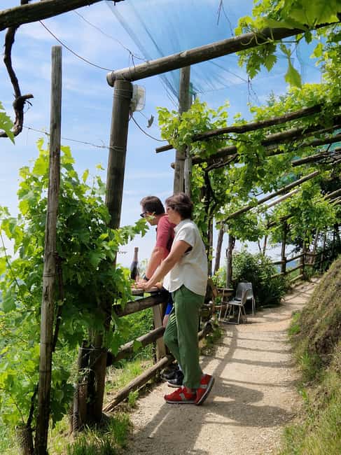 Guided Prosecco Tasting & Easy E-Bike Ride - Prosecco on two wheels, in Valdobbiadene