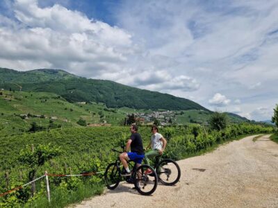 Guided Prosecco Tasting & Easy E-Bike Ride - The e-bike ride through Prosecco hills: easy pace, real views