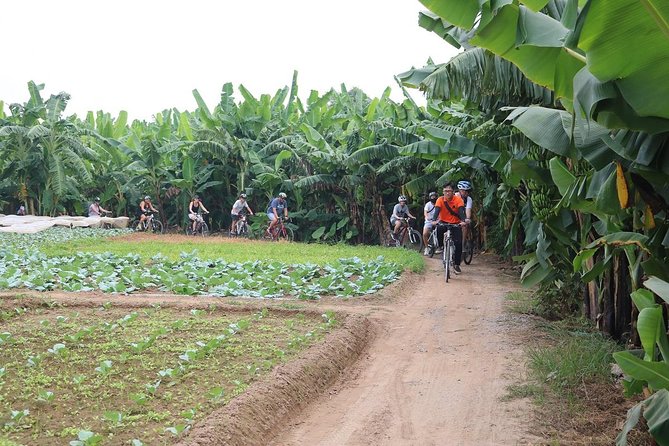 Half-Day Bicycle Tour Combine City & Countryside + Train Street - Why this 4-hour Hanoi bike ride makes sense