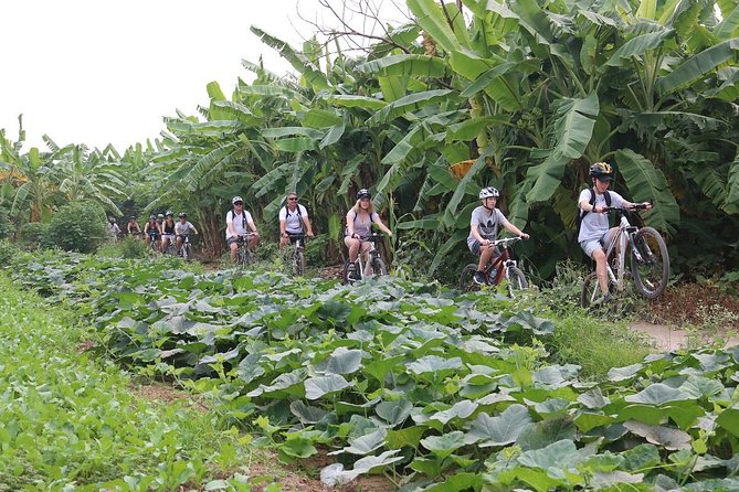 Half-Day Bicycle Tour Combine City & Countryside + Train Street - Ba Dinh Square: major monuments from the saddle