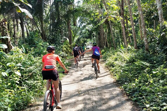 Half-Day Countryside Cycling Small-group Tour in Phuket - Key highlights at a glance