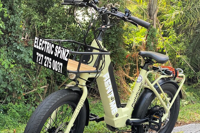Half Day Electric Bike Rental on the Pinellas Trail - Key things worth knowing before you ride
