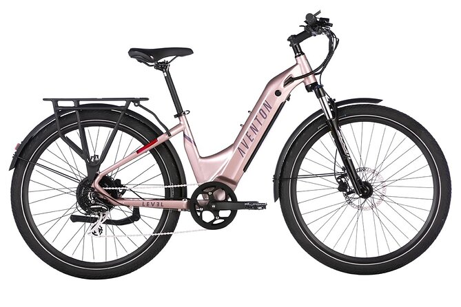Half Day Electric Bike Rental on the Pinellas Trail - Should you book this half-day electric bike rental?