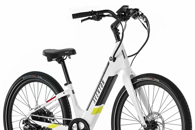 Half Day Electric Bike Rental on the Pinellas Trail - Why the Pinellas Trail is ideal for pedal-assisted riding