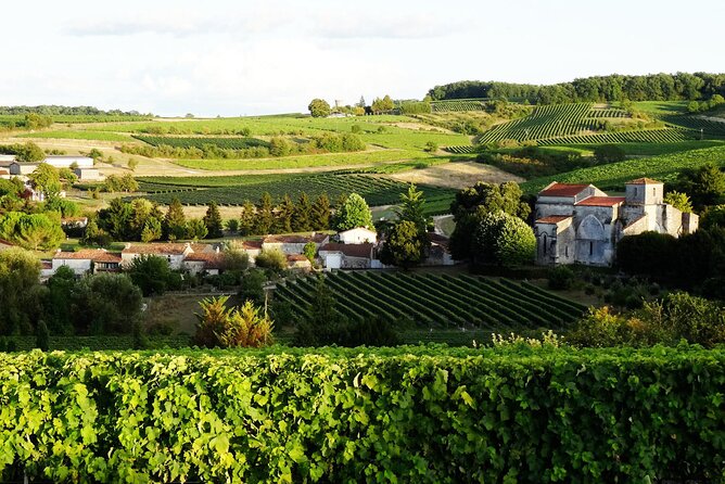 Half-day Guided E-Bike Ride to Discover The Cognac Vineyard - Key reasons this Cognac e-bike tour is worth your afternoon