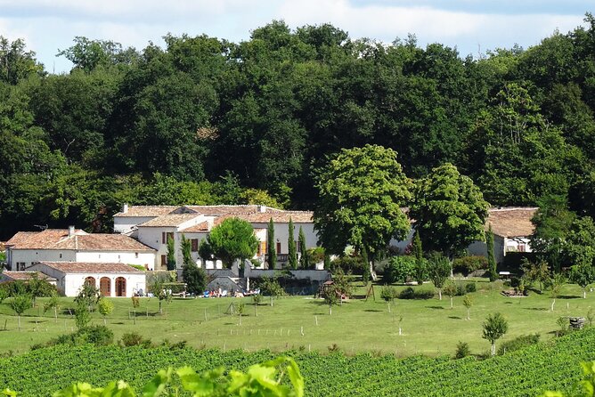 Half-day Guided E-Bike Ride to Discover The Cognac Vineyard - Meeting point in Saint-Preuil: where to start, and what you should plan