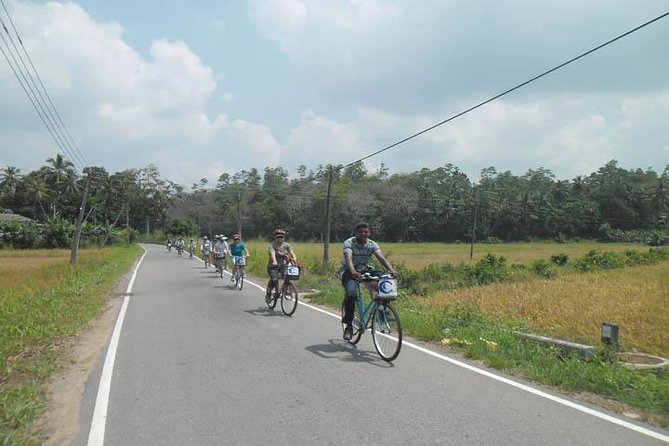 Half-Day Lagoon and Village Cycling Tour in Galle - Where the tour starts and what you get at the beginning