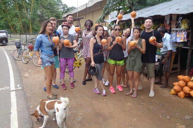 Half-Day Lagoon and Village Cycling Tour in Galle - The guide makes it (and you’ll notice the small stuff)