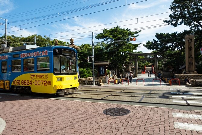 Half day Osaka Bay Area Cycling with E-Assist Bicycle Tour - Key things you’ll notice on this Osaka Bay e-bike ride