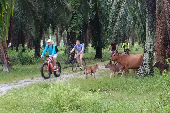 Half-Day Penang Countryside Cycling Tour - 7am Pickup, Included Gear, and the Real Timing of This Ride