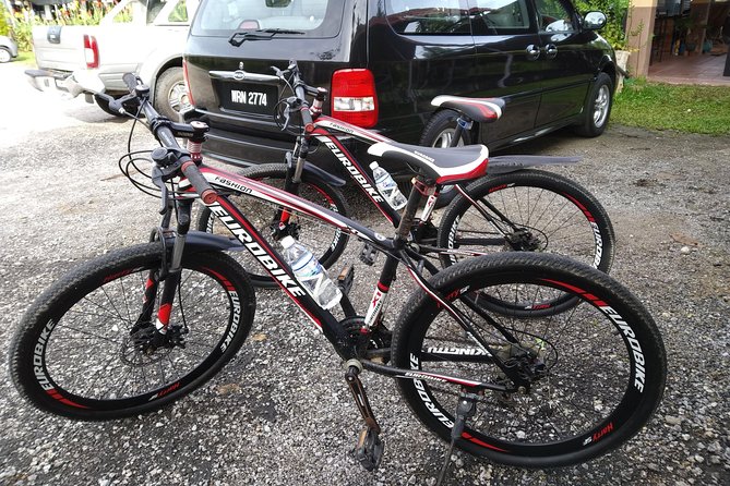 Half-Day Penang Countryside Cycling Tour - Guides Like Eddie and TC: How the Stories Make Stops Matter