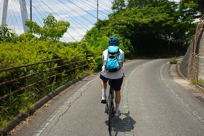 Half-Day Shimanami Kaido Private E-Bike Cycling Tour - 3 Routes - Cycling the full island feeling on Mukaishima (Route B)