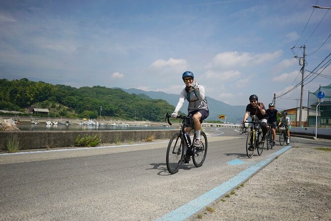 Half-Day Shimanami Kaido Private E-Bike Cycling Tour - 3 Routes - The Ikuchijima one-way ride with ferry return (Route C)