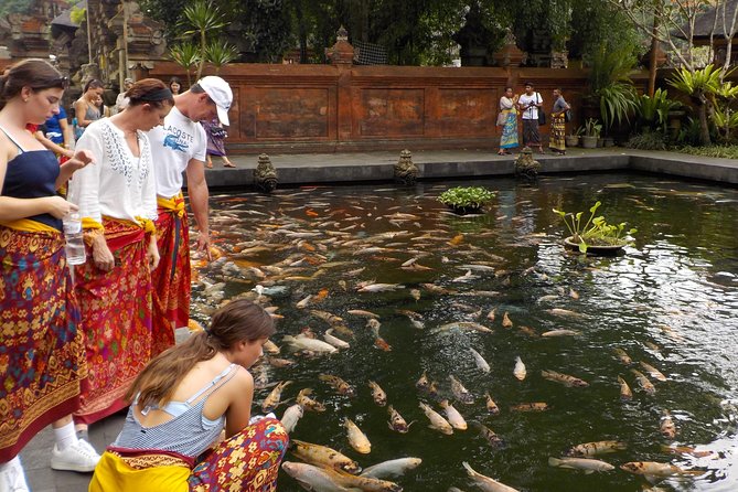 Half-Day Ubud Electric Cycling Tour to Tirta Empul Water Temple - The morning ride: escaping Ubud traffic fast