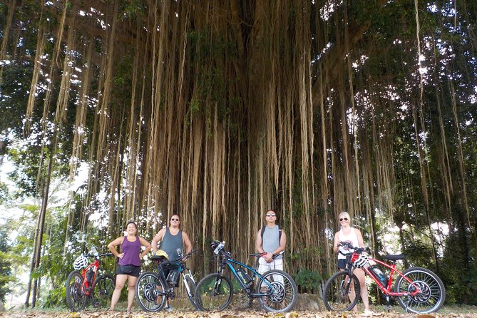 Half-Day Ubud Electric Cycling Tour to Tirta Empul Water Temple - What the guide helps you notice at each stop