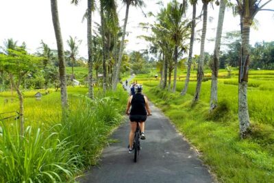 Half-Day Ubud Electric Cycling Tour to Tirta Empul Water Temple - Tirta Empul Temple: 45 minutes at the sacred springs