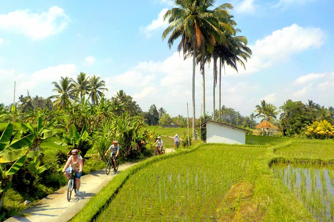 Half-Day Ubud Electric Cycling Tour to Tirta Empul Water Temple - Lunch at Pangkon Bali Resto & Agrotourism after the ride