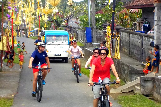 Half-Day Ubud Electric Cycling Tour to Tirta Empul Water Temple - Safety, comfort, and the real mechanics of the bike