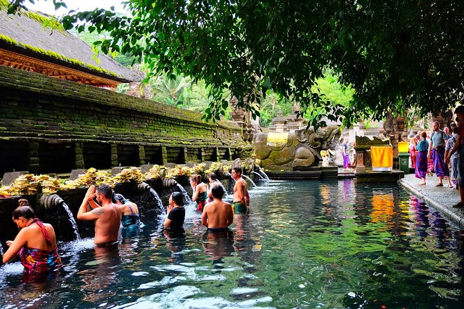 Half-Day Ubud Electric Cycling Tour to Tirta Empul Water Temple - Price and value: is $49 a fair deal?