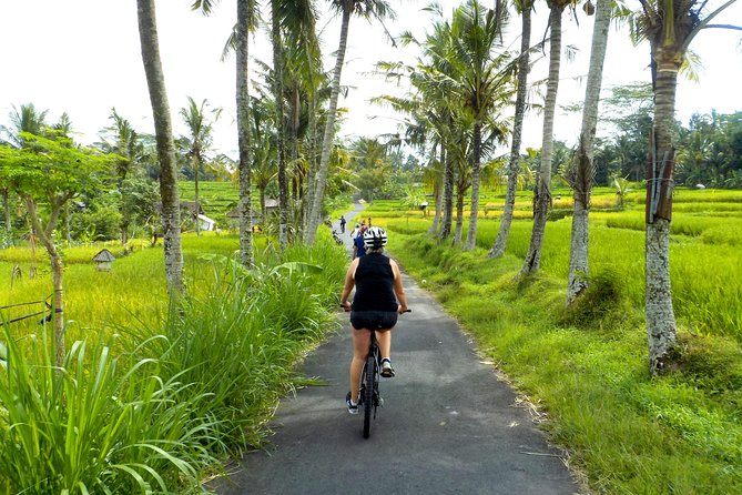 Half-Day Ubud Electric Cycling Tour to Tirta Empul Water Temple - Tirta Empul Temple: 45 minutes at the sacred springs