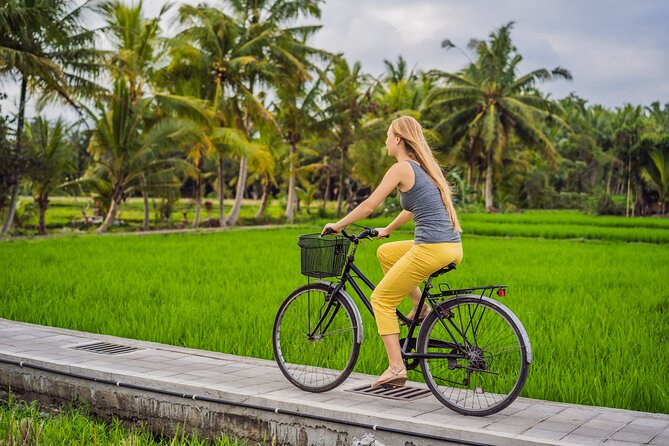 Half-Day Ubud Rice Field and Village Cycling Tour - Key Highlights Worth Clocking