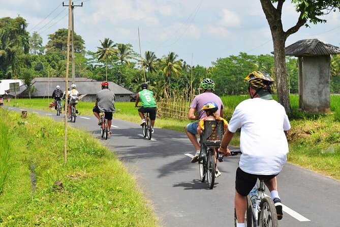 Half-Day Ubud Rice Field and Village Cycling Tour - Why This Ubud Rice-Field Ride Beats the Typical Bali Day