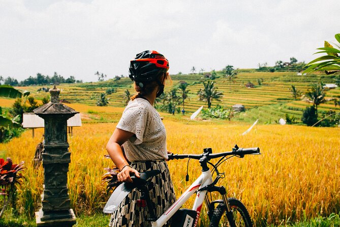 Half-Day Ubud Rice Field and Village Cycling Tour - Included Bikes, Helmets, and Gloves: Less Setup, More Riding Time