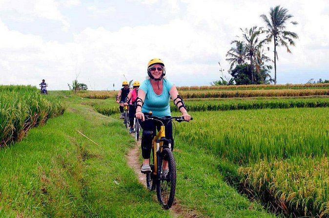 Half-Day Ubud Rice Field and Village Cycling Tour - The Coffee Plantation Stop: Where the Smells Become the Lesson