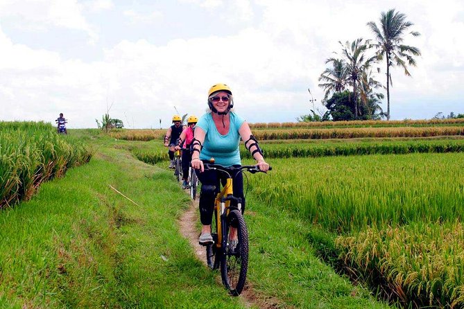 Half-Day Ubud Rice Field and Village Cycling Tour - The Balinese House Compound Visit: Learning What Daily Life Looks Like