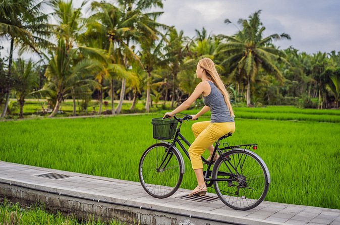 Half-Day Ubud Rice Field and Village Cycling Tour - Rice Terraces and Village Lanes: Pretty Views, Fewer Crowds, Real Scale