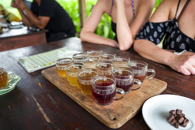 Half-Day Ubud Rice Field and Village Cycling Tour - Pace, Fitness, and Comfort: Who This Tour Suits Best