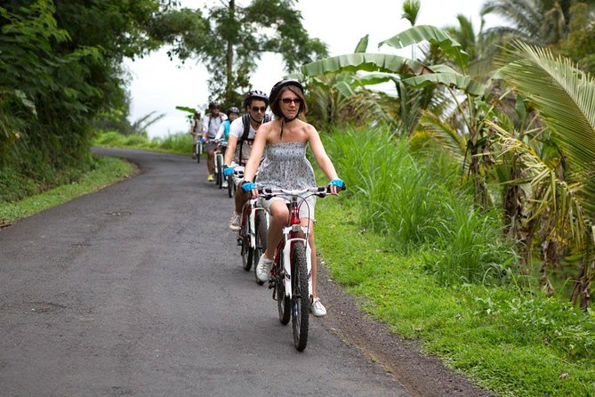 Half-Day Ubud Rice Field and Village Cycling Tour - Mount Batur Start to Ubud Finish: How the Route Really Feels