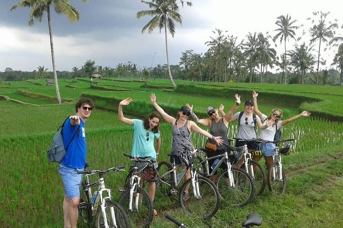 Halo Bike Cycling Tour Downhill - Getting Picked Up: Timing That Works (If You Plan for Morning)