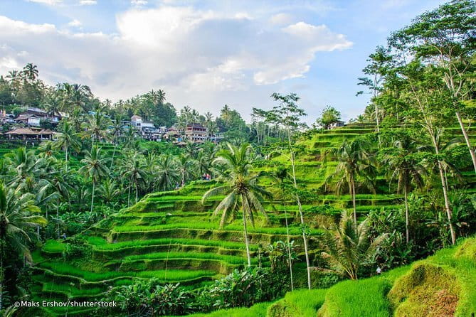 HALO BIKE Downhill Bali Countryside Cycling Tour - Lunch at Yoga’s Home: the home-cooked meal that makes the day
