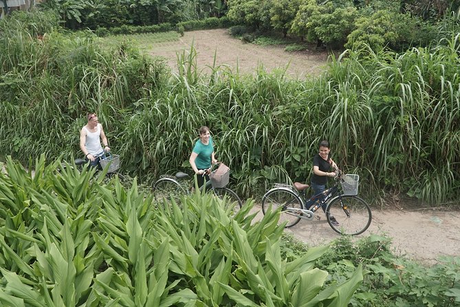 Hanoi Backstreet Bicycle Tour - Street coffee in a local shop, plus snacks that keep you rolling