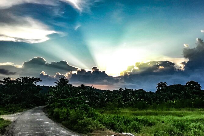 Hinterland Cycling Tour, Havelock - Havelock’s hinterland: the part you can’t grab from a resort shuttle
