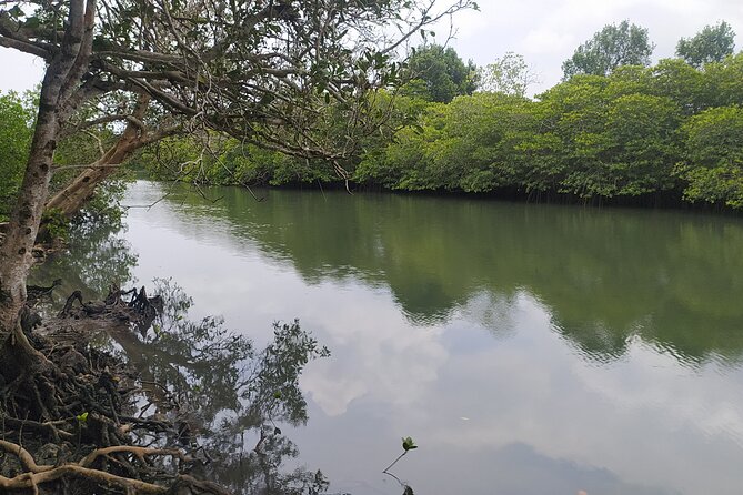 Hinterland Cycling Tour, Havelock - Local factories and plantations: seeing work, not just views