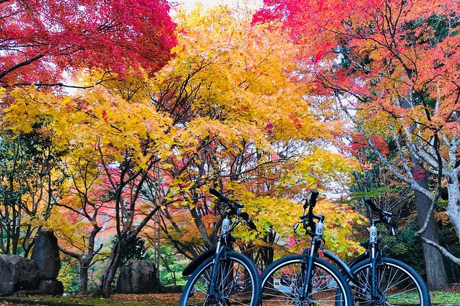 Hiroshima Country Cycling: Explore Rural Life 1 HR from City - Getting There: Oasa I.C. and a Smooth Start at 10:00